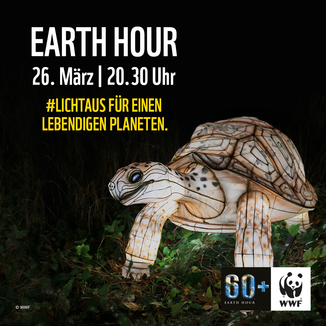 Bild Earth Hour Schildkröte
